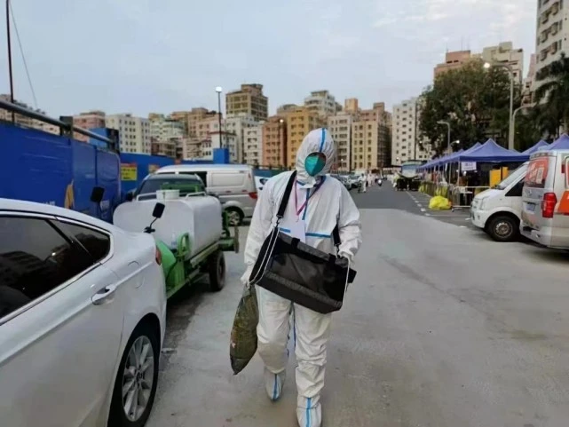 深圳宠物爱心托管驿站：给疫情中的留守宠物一个安全的“家”