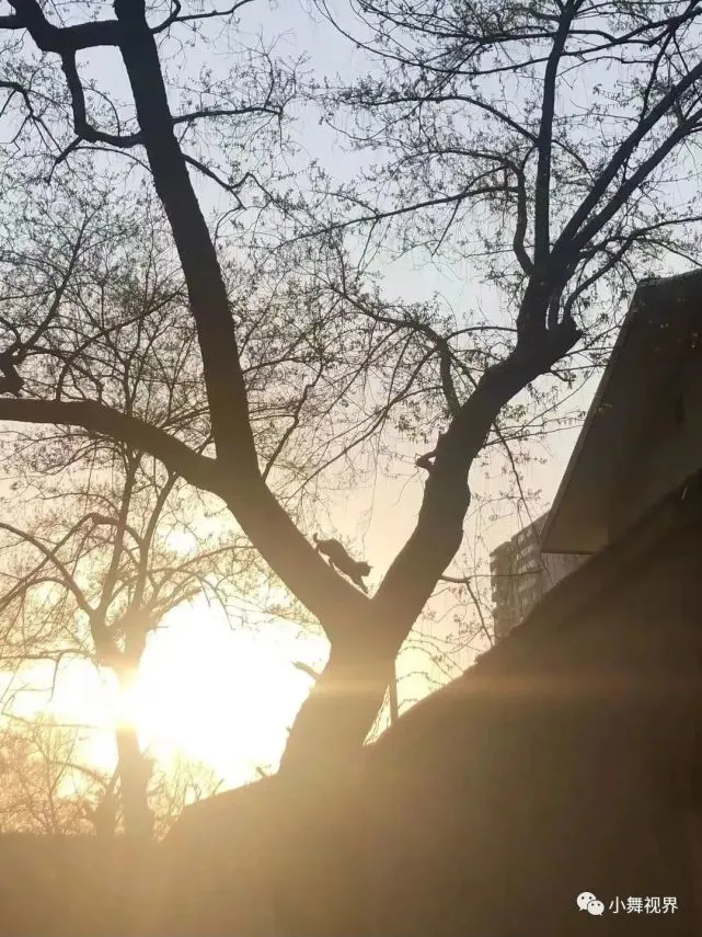 灾难面前，没有任何生命可以被当成代价