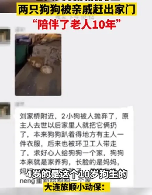 老人突发疾病去世，遗留的2条狗赶出家门，邻居：陪伴了10年啊