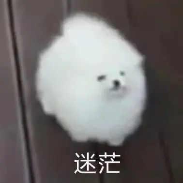 狗勾表情包｜乐在其中