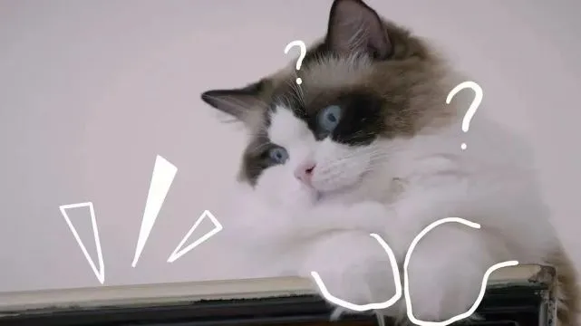 这些动物幼崽就是治愈界的天花板吧！