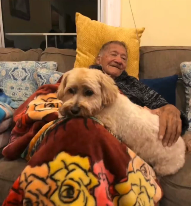 当身边的人去世后，狗狗的反应让人泪目……