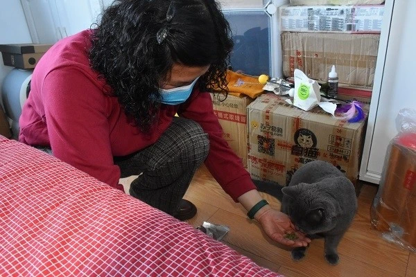 疫情下，一只“空巢猫”和它的“铲屎官们”