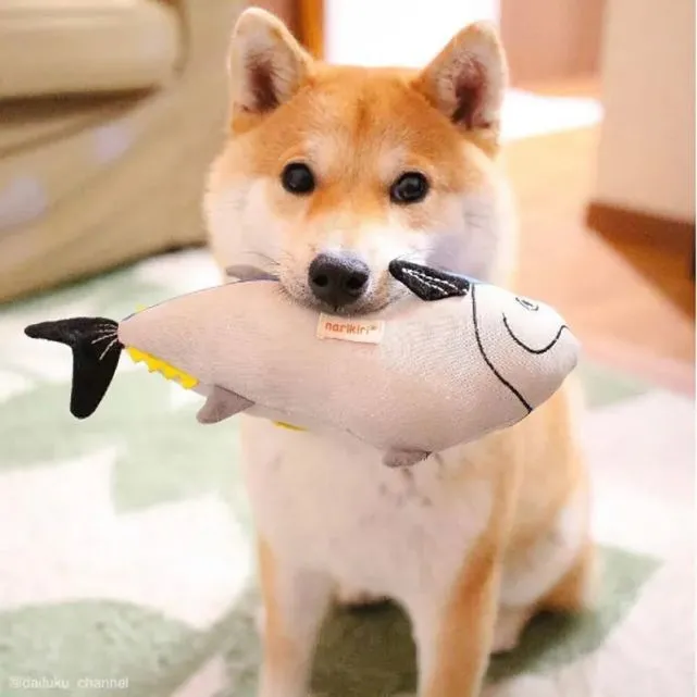 动物头像：0411萌萌的柴犬头像