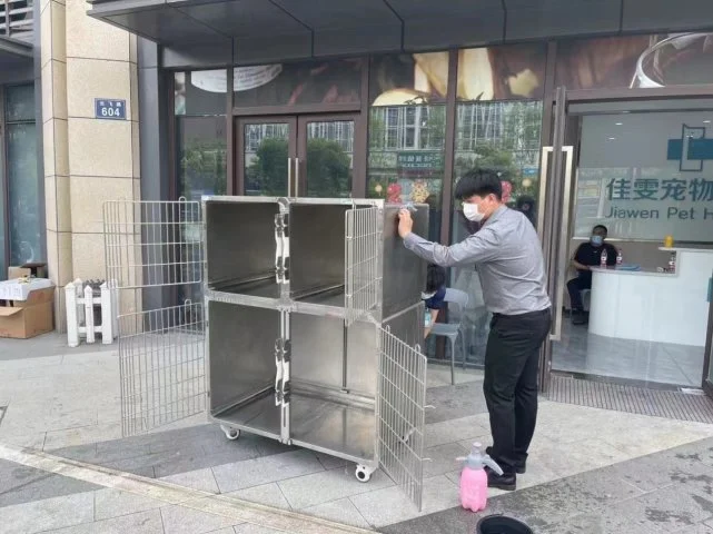 主人被隔离，家中宠物怎么办？江北这样做……