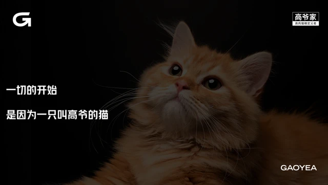 高爷家盛晨成：宠物赛道新消费突围丨春芽“锌”生演讲实录