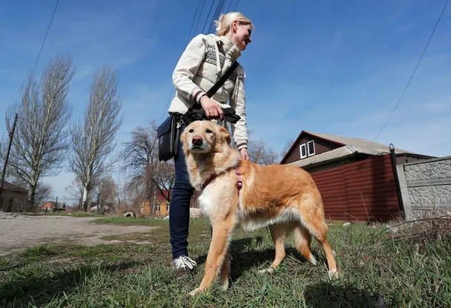 俄罗斯宠物店老板收留乌东地区流浪动物