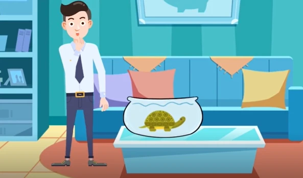 国家安全，可能与你家鱼缸里的宠物有关