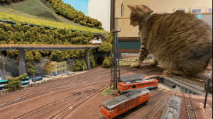 铁道模型餐厅濒临倒闭，老板好心收留的喵星人让它起死回生