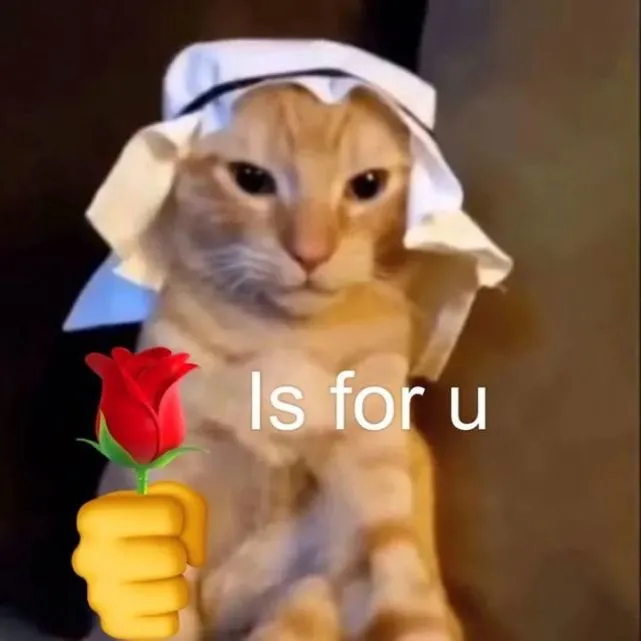 谁会对一只叼着玫瑰的帅猫说不呢