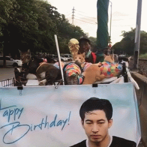 流浪猫半夜送鱼给上海人报恩，网友：真有灵性！