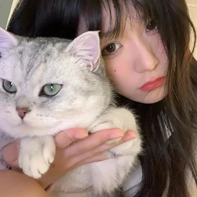 情头｜做我的猫