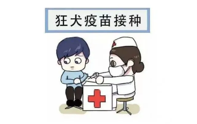 接种量上升百分之十！这些情况赶快打狂犬疫苗