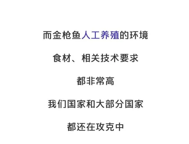 吃金枪鱼罐头，可不要误伤海豚呦