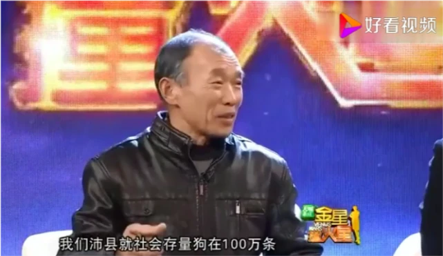 金星问企业老总：你们一年要屠宰多少条狗？他说：每年20w条