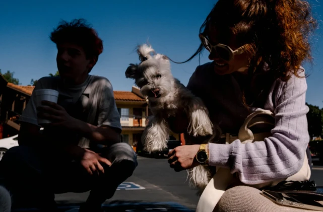 被告知宠物狗不能带入美国，乌克兰难民：我宁愿回欧洲