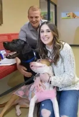 最浪漫的求婚：只要你喜欢，狗狗和余生我都给你