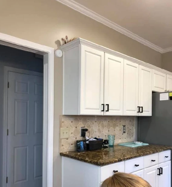 找猫半天，抬头才看到一双猫脚脚