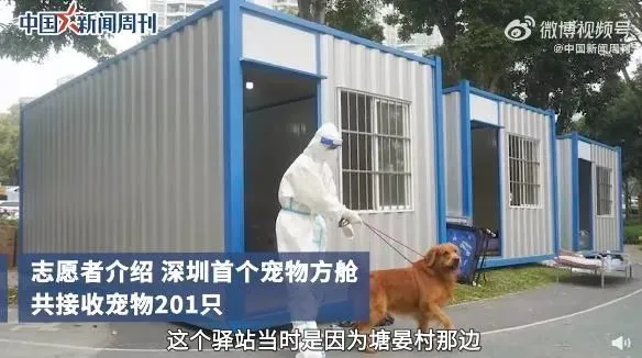必须点赞！广州启动宠物托管中心，连流浪猫狗也可入驻，牛！