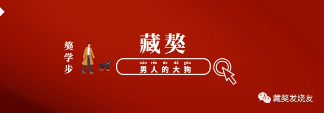 诚信为本，明码标价的藏獒，这个可以有！