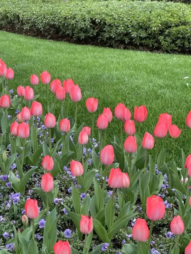 背景图丨谎话说给耳朵听，偏偏惹红了眼睛