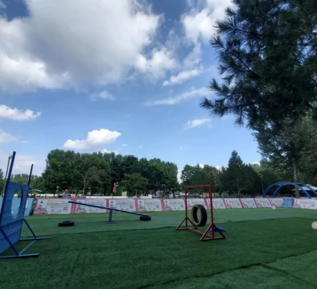 2022北京“宠物友好”公园图鉴，一起带着毛孩子去撒欢儿吧！