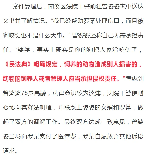 南溪罗某回家途中被狗咬伤，狗主人是否要担责？