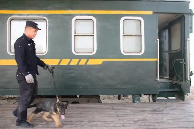 快来围观！警犬“汪汪队”考试啦！