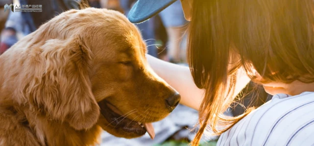 宠物赛道如何做私域？高复购更要做私域