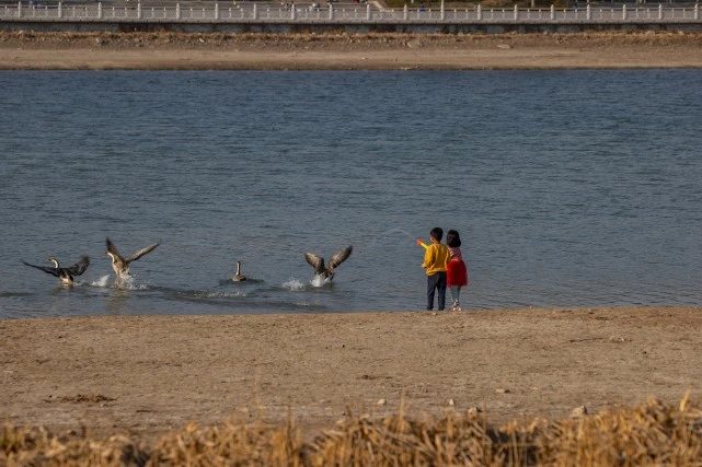 辣条薯片啥都敢喂，亲近小动物，不能只顾了孩子开心
