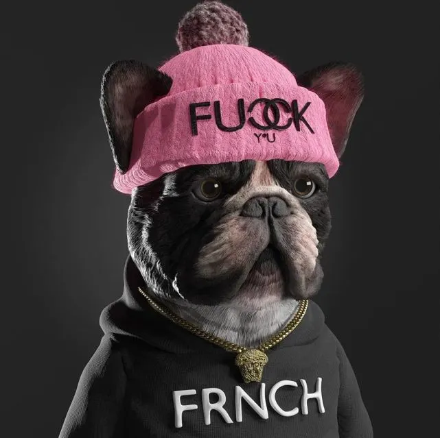 时尚弄潮儿，宠物也这么会穿了吗！看完只想问，衣服哪里领！