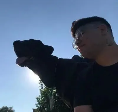 拉布拉多因肾衰竭离世，狗玩伴趴在坟墓前道别，画面令人痛心！