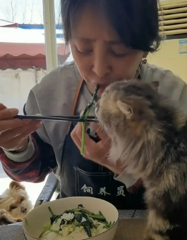58岁演员李勤勤和猫咪共享餐食引争议，网友：太不卫生了