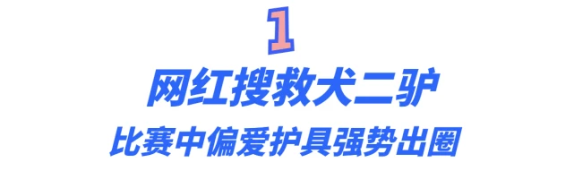 搜救犬二驴：比赛时抛弃训导员，却因此出圈爆红，挂热搜2天