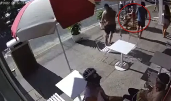 主人明明说可以！6岁男童路边摸狗 斗牛犬突然抓狂攻击画面曝光