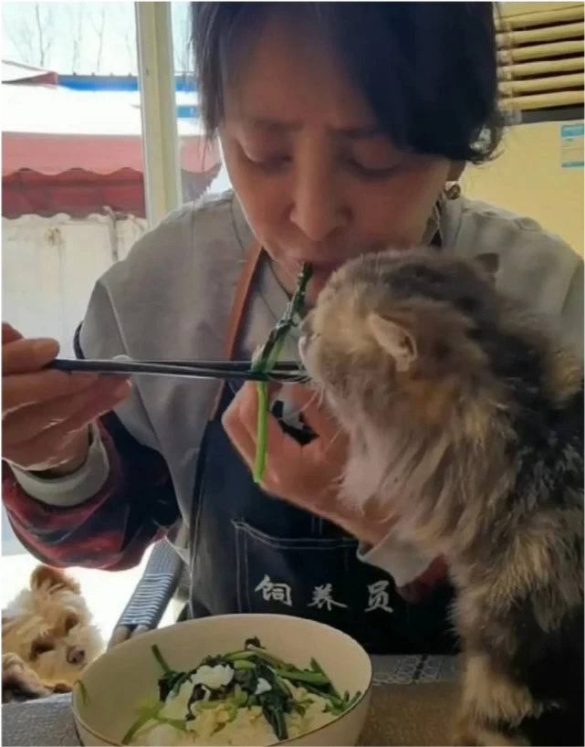 58岁李勤勤和猫咪共享餐食上热搜！网友：太不卫生了