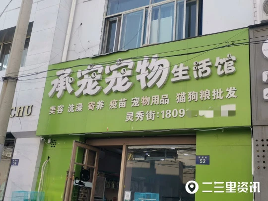 花千元买来小猫半月死亡 承宠宠物生活馆：照顾方式有问题