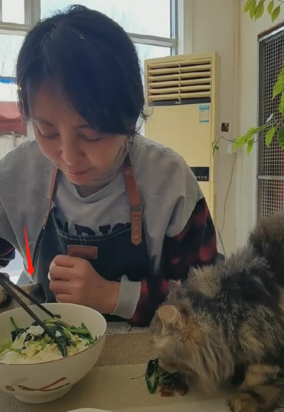 58岁李勤勤引争议！吃青菜米饭全素不见荤，猫咪上桌从人口里抢食