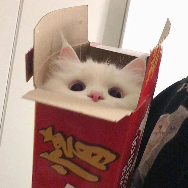 萌宠头像｜所有的道别里，我最喜欢“明天见”