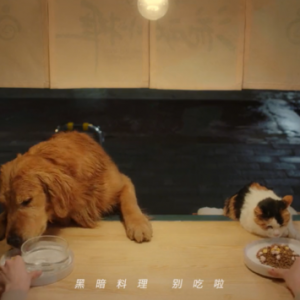 2022年，我找到了“投喂”流浪动物的新方式