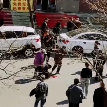 沈阳一宠物狗被车撞死，狗主人跪在街上放声痛哭