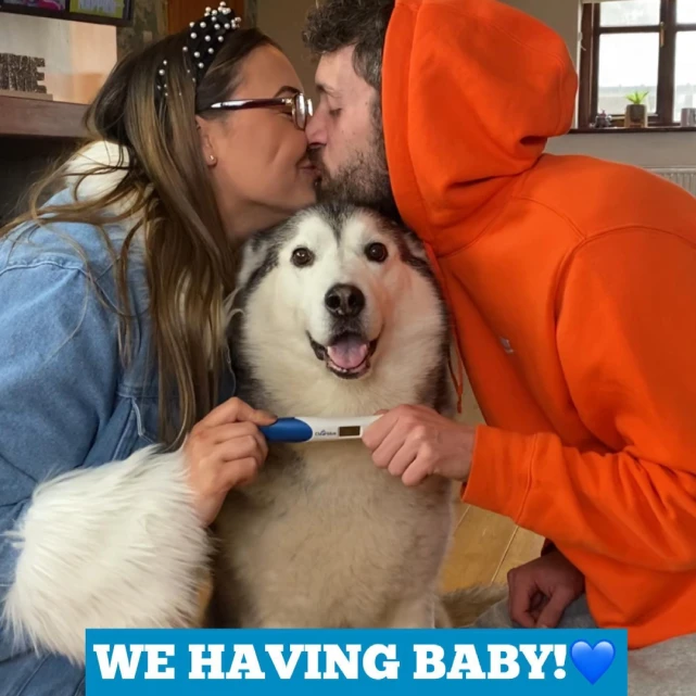 三只哈士奇变身“保姆天团”带娃刷爆ins​！网友震惊：居然没拆家