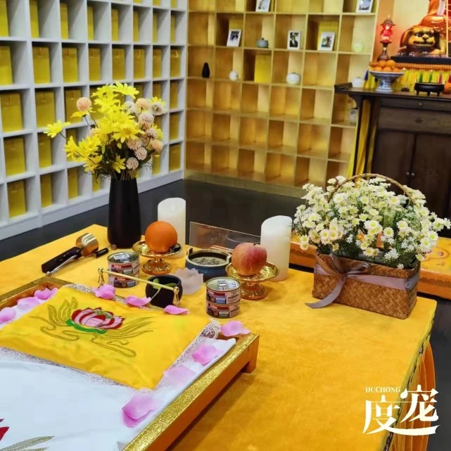 宠物殡葬行业前景如何？宠物去世会选择宠物殡葬么？