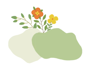 小黄名叫黄小玉