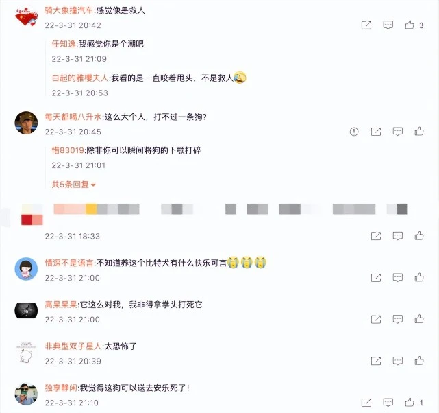 宠物狗扑倒1岁幼童，孩子父亲怒将狗狗摔死，狗主人：我孩子死了