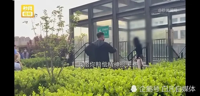 宠物狗扑倒小孩被孩子父亲摔死