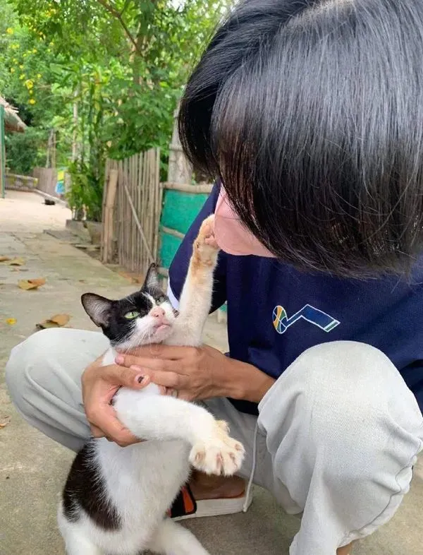 在公园遇到只猫猫，把它抱起一看，一脸凶相，太拽了！