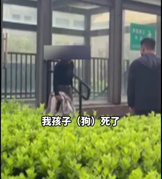 父亲护子，一气之下把扑倒孩子的宠物狗当场摔死