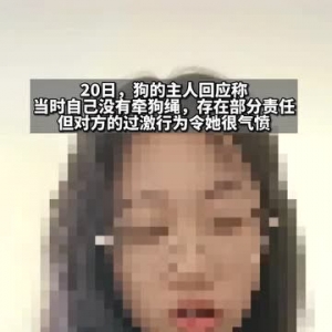 宠物狗吓哭小孩被家长摔死 犬主回应