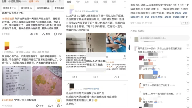 信元疑涉“毒猫粮”：上百只猫咪之死，能否让国产宠粮停止狂奔？